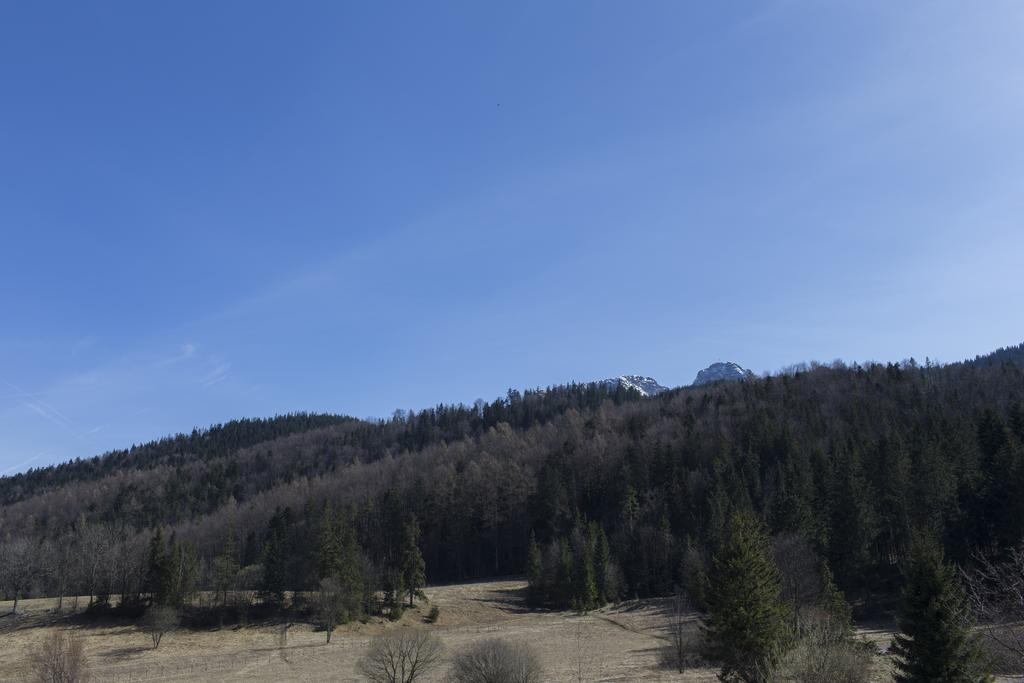 Apartament Mountain View By Tyzenhauz Zakopane